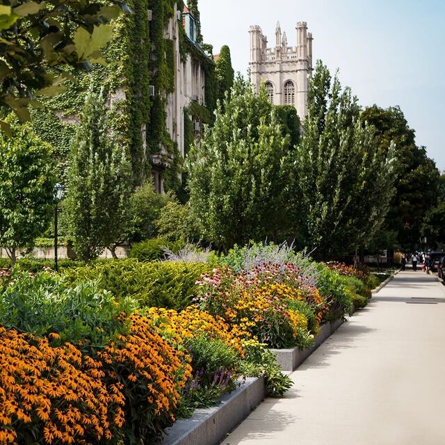 Campus cropped